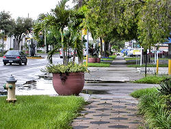 street view and landscaping
