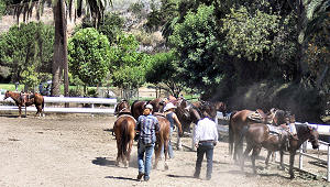 Horses and riding on Catalina Island