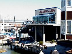 Aquarium on the Bay at Fisherman's Wharf San Francisco