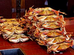 Photo Tour of Fisherman's Warf San Francisco 