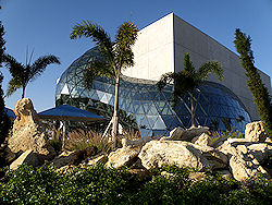 Dali Museum Florida landscape