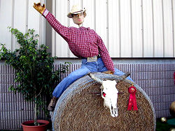 Florida State Fair agriculture heritage