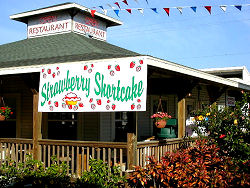Florida State Fair restaurant