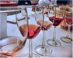 Florida State Fair wine competition and other exhibits
