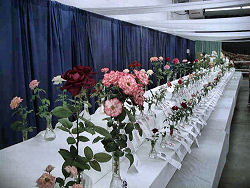 Florida State Fair flower and plant show