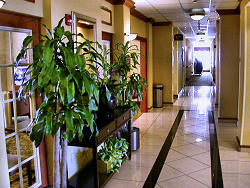 view of hallway