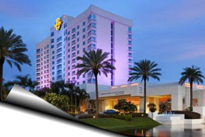 hotels around hard rock casino tampa