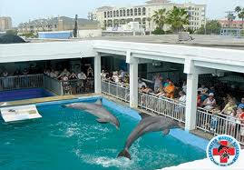 Clearwater Marine Aquarium Hospital