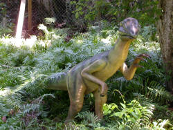 dinosaur tour near me