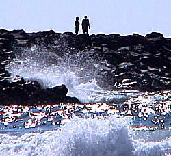 couple on sea wall