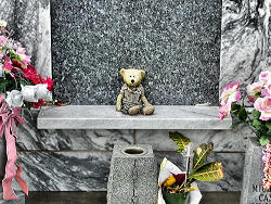 stuffed bear on grave