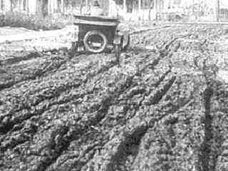 San Diego Tar Pit traps car