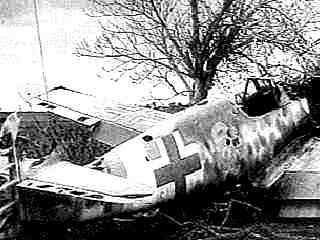 Red Cross plane takes off into oak tree