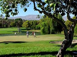 Palm Springs Golf
