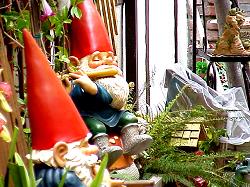 lawn gnomes