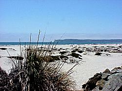 Coronado beach on California Pacific shore