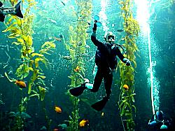 diver in tank