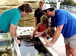 family at tide pool