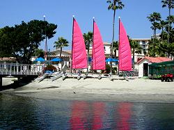 Sailboats for rent on beach at Hilton Hotel