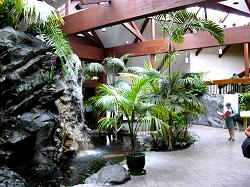 tropical landscape in lobby