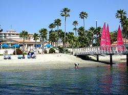 visitors enjoying the hotel beach