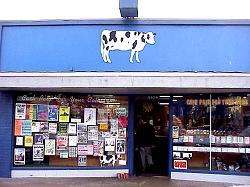 cow music storefront