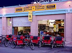 pedicab bicycle rental
