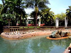 pond in front of dining room at hotel