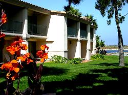 tropical landscaping at hotel