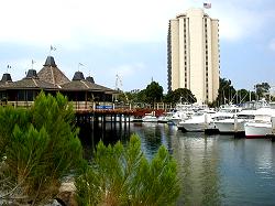 boats in marina behind hotel restaurant