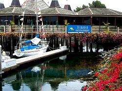 boat rental dock