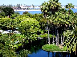 view of hotel and Mission Bay from tower