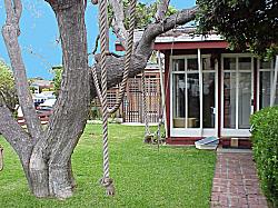 home with play rope in tree