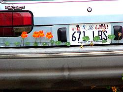 car with flower vine growing on it