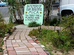 In memory of MICA sign