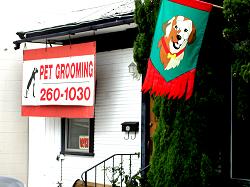 Pet Grooming